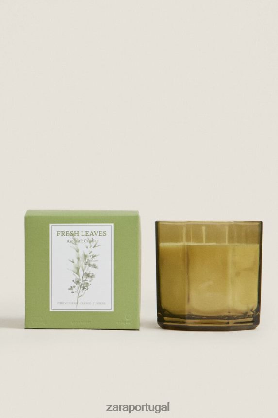 (500 g) vela perfumada com folhas frescas unissex Zara terra Z2080L1763 acessórios