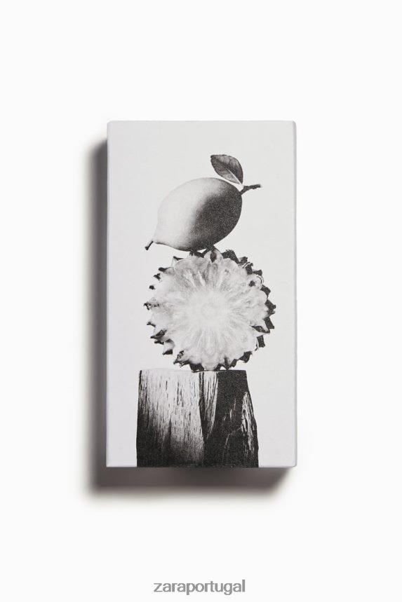 bogoss couro vibrante 100 ml homens Zara original Z2080L1362 acessórios