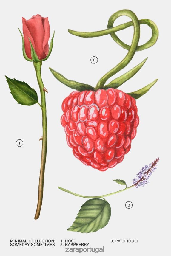 algum dia às vezes 30 ml mulheres Zara original Z2080L789 acessórios