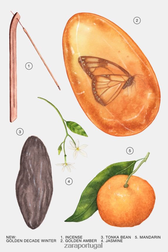 década de ouro inverno 80 ml mulheres Zara original Z2080L771 acessórios