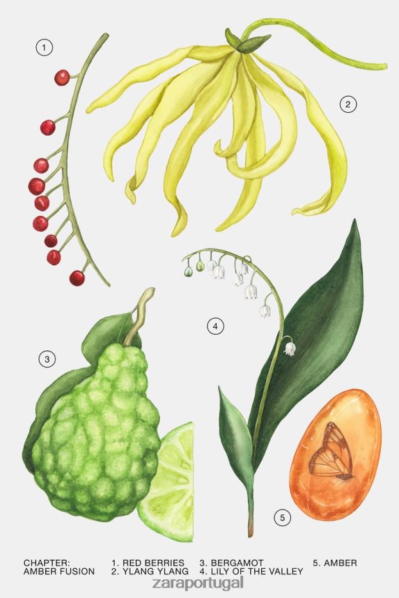 fusão âmbar 30 ml mulheres Zara original Z2080L780 acessórios