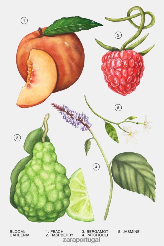 gardênia 180 ml (6,0 fl. Oz) mulheres Zara original Z2080L804 acessórios