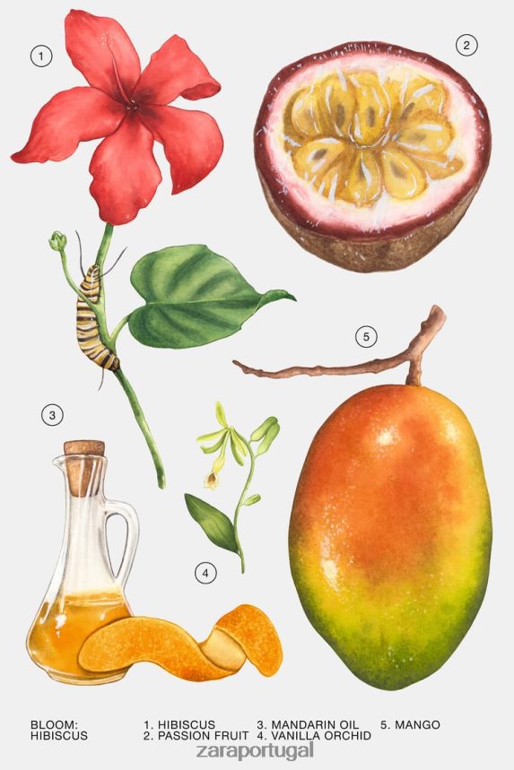 hibisco 90 ml mulheres Zara original Z2080L803 acessórios