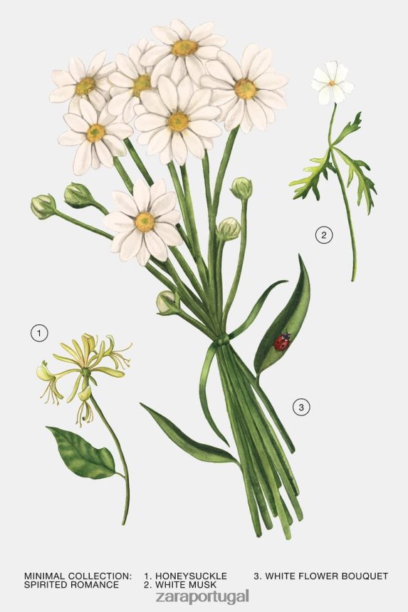 romance espirituoso 100 ml mulheres Zara original Z2080L795 acessórios