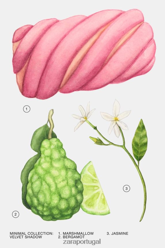 sombra de veludo 30 ml mulheres Zara original Z2080L791 acessórios