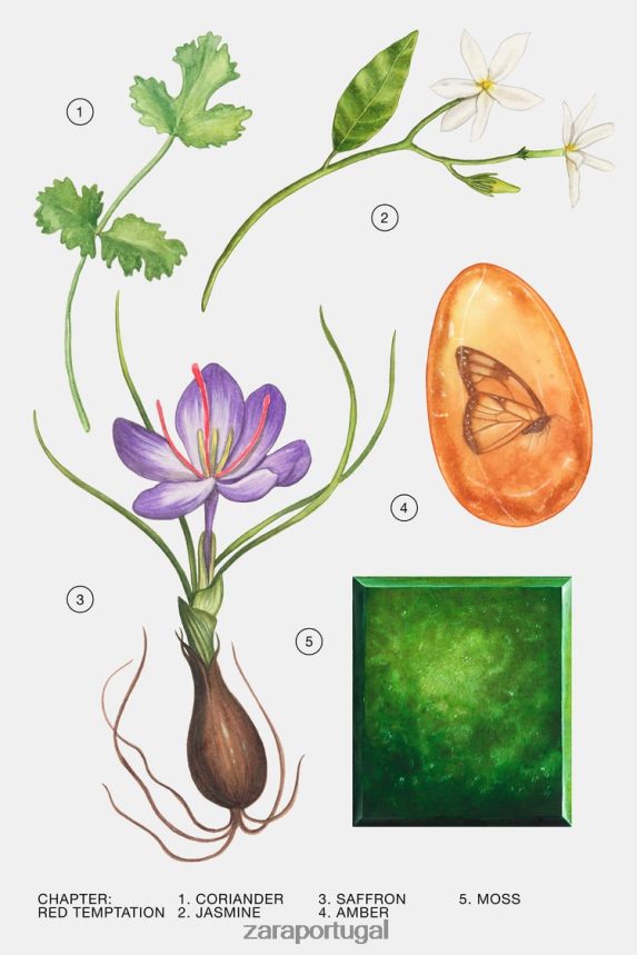 tentação vermelha 80 ml mulheres Zara original Z2080L772 acessórios